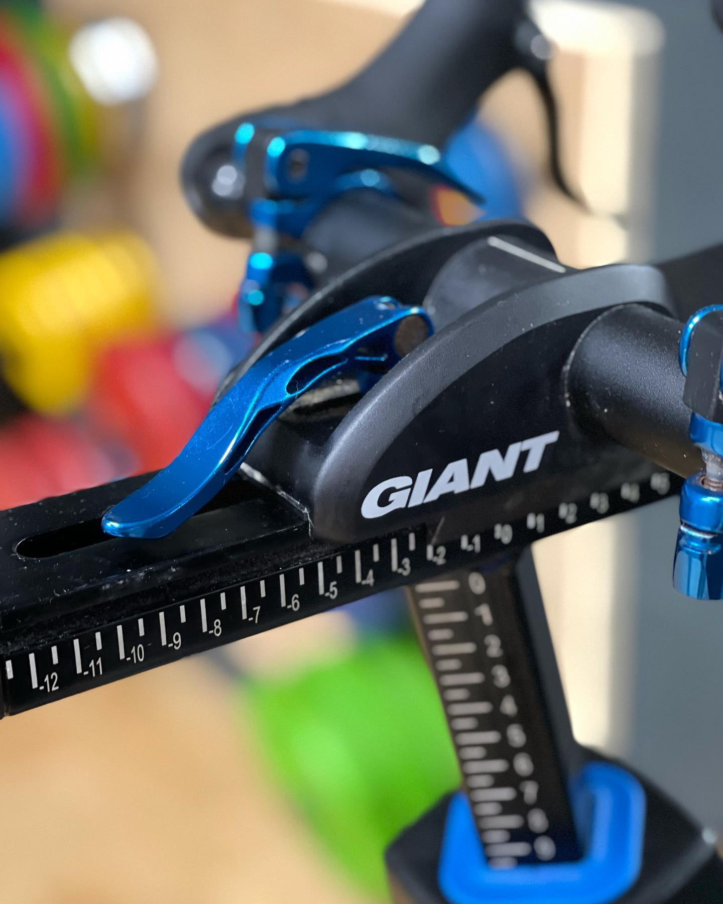 Close up on Giant mounted bike logo