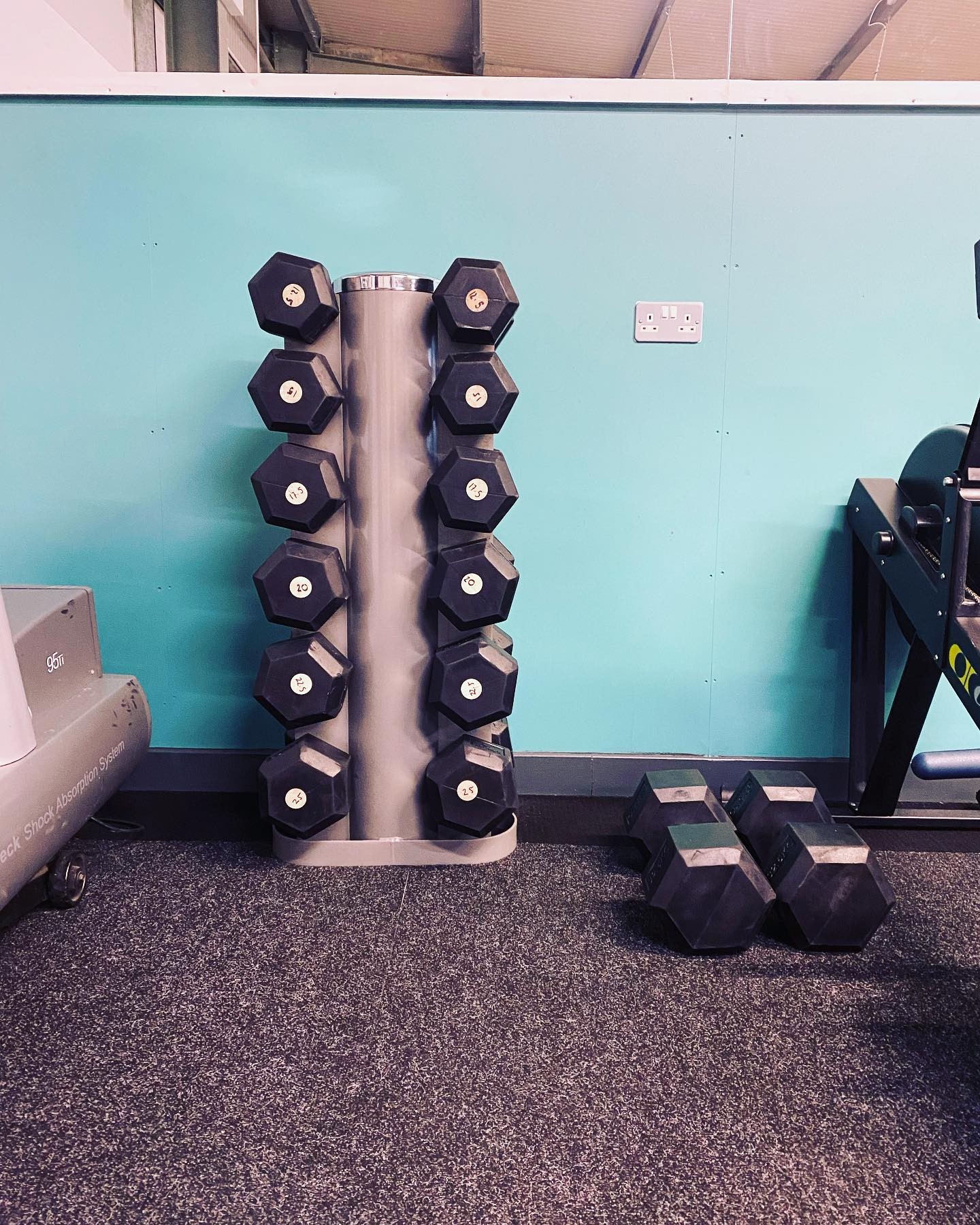 dumbbells mounted on rack